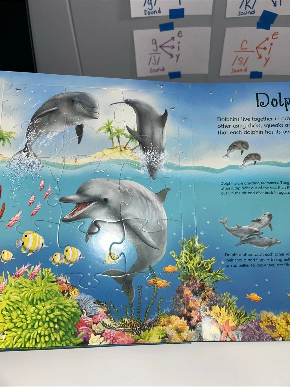 Usborne Under the Sea Jigsaw Large Board Book - Built in Puzzles